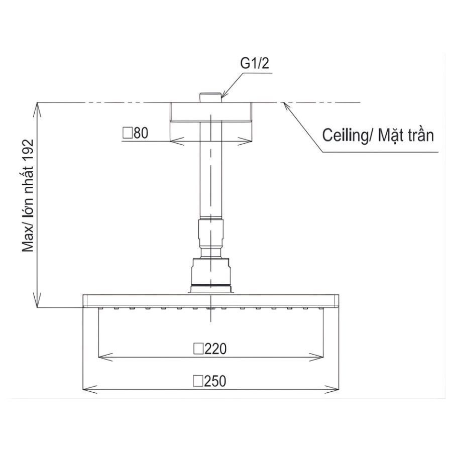 bản vẽ kích thước bát sen gắn trần toto tbw08002a1