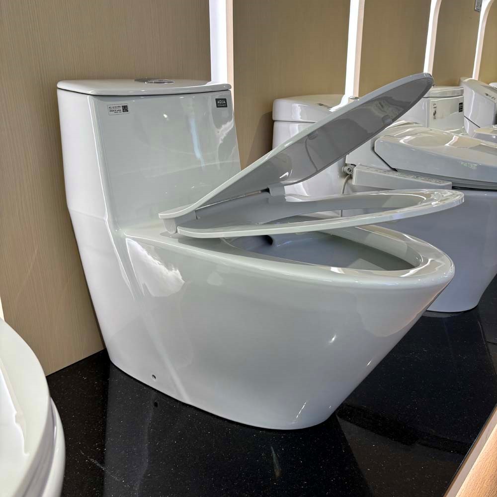 Bồn Cầu 1 Khối INAX AC-919VRN Xả Nhấn