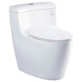Bồn Cầu 1 Khối TOTO MS636DT8