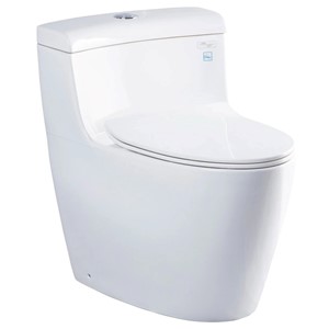 Bồn Cầu 1 Khối TOTO MS636DT8