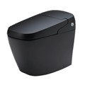 Bồn cầu thông minh INAX AC-G216VN/BKG
