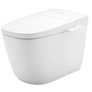 Bồn cầu điện tử INAX AC-816VN